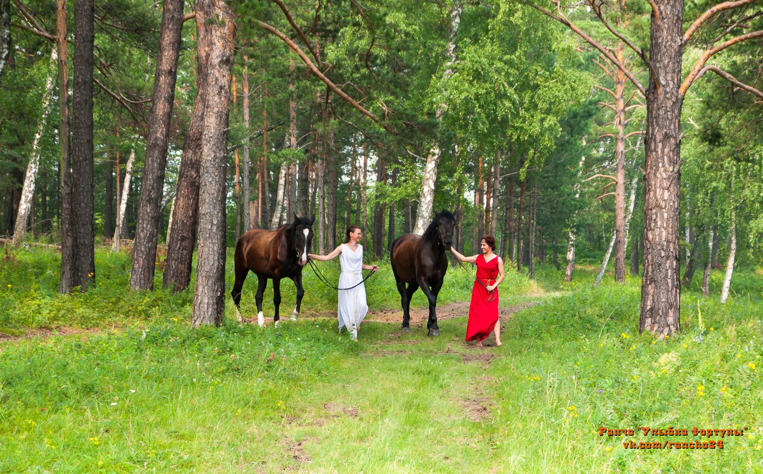 Верховая прогулка