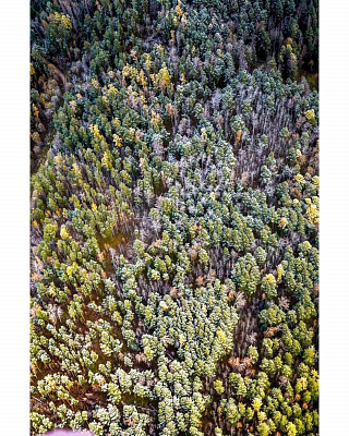 Полёт с инструктором на параплане в Красноярске. Ultra Подарки. Полёт с инструктором на параплане в Красноярске. Попробуйте полёт на двухместном параплане над столицей. Сервис: UltraPodarki.ru 8 800 505 95 30. Полёт на параплане, полёт на параплане Красноярск, полёт с инструктором на параплане Красноярск, полёт с инструктором на параплане, параплан Красноярск, параплан, парапланеризм Красноярск, купить параплан Красноярск