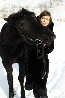 Конная прогулка в Красноярске. Подарочные сертификаты Ultra Подарки. Купить оригинальный подарок или подарочный сертификат на Конная прогулка в Красноярске. Сервис UltraPodarki.ru 8-800-505-9530. Катание на лошадях, Прогулка на лошади, Прогулка на лошадях для двоих, Конная прогулка, конный клуб, Конный клуб Альтаир, Альтаир Конный двор, конная прогулка, конная прогулка в Красноярске