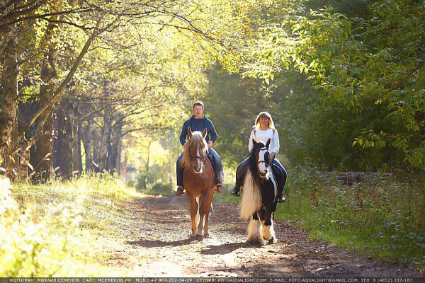 Конная прогулка в Красноярске. Подарочные сертификаты Ultra Подарки. Купить оригинальный подарок или подарочный сертификат на Конная прогулка в Красноярске. Сервис UltraPodarki.ru 8-800-505-9530. Катание на лошадях, Прогулка на лошади, Прогулка на лошадях для двоих, Конная прогулка, конный клуб, Конный клуб Альтаир, Альтаир Конный двор, конная прогулка, конная прогулка в Красноярске