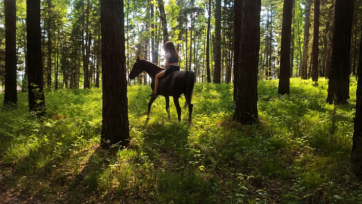 Конная прогулка в Красноярске. Подарочные сертификаты Ultra Подарки. Купить оригинальный подарок или подарочный сертификат на Конная прогулка в Красноярске. Сервис UltraPodarki.ru 8-800-505-9530. Катание на лошадях, Прогулка на лошади, Прогулка на лошадях для двоих, Конная прогулка, конный клуб, Конный клуб Альтаир, Альтаир Конный двор, конная прогулка, конная прогулка в Красноярске