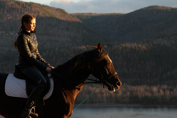 Конная прогулка в Красноярске. Подарочные сертификаты Ultra Подарки. Купить оригинальный подарок или подарочный сертификат на Конная прогулка в Красноярске. Сервис UltraPodarki.ru 8-800-505-9530. Катание на лошадях, Прогулка на лошади, Прогулка на лошадях для двоих, Конная прогулка, конный клуб, Конный клуб Альтаир, Альтаир Конный двор, конная прогулка, конная прогулка в Красноярске