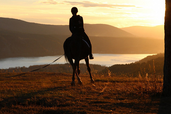 Конная прогулка в Красноярске. Подарочные сертификаты Ultra Подарки. Купить оригинальный подарок или подарочный сертификат на Конная прогулка в Красноярске. Сервис UltraPodarki.ru 8-800-505-9530. Катание на лошадях, Прогулка на лошади, Прогулка на лошадях для двоих, Конная прогулка, конный клуб, Конный клуб Альтаир, Альтаир Конный двор, конная прогулка, конная прогулка в Красноярске