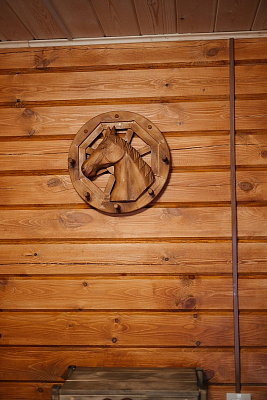 Конная прогулка в Красноярске. Подарочные сертификаты Ultra Подарки. Купить оригинальный подарок или подарочный сертификат на Конная прогулка в Красноярске. Сервис UltraPodarki.ru 8-800-505-9530. Катание на лошадях, Прогулка на лошади, Прогулка на лошадях для двоих, Конная прогулка, конный клуб, Конный клуб Альтаир, Альтаир Конный двор, конная прогулка, конная прогулка в Красноярске