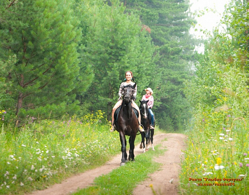 Конная прогулка в Красноярске. Подарочные сертификаты Ultra Подарки. Купить оригинальный подарок или подарочный сертификат на Конная прогулка в Красноярске. Сервис UltraPodarki.ru 8-800-505-9530. Катание на лошадях, Прогулка на лошади, Прогулка на лошадях для двоих, Конная прогулка, конный клуб, Конный клуб Альтаир, Альтаир Конный двор, конная прогулка, конная прогулка в Красноярске