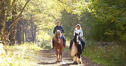 Конная прогулка