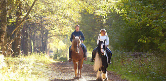 Конная прогулка