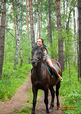 Конная прогулка в Красноярске. Подарочные сертификаты Ultra Подарки. Купить оригинальный подарок или подарочный сертификат на Конная прогулка в Красноярске. Сервис UltraPodarki.ru 8-800-505-9530. Катание на лошадях, Прогулка на лошади, Прогулка на лошадях для двоих, Конная прогулка, конный клуб, Конный клуб Альтаир, Альтаир Конный двор, конная прогулка, конная прогулка в Красноярске